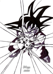 Kame Hame Ha feito por Diego Alberto da Silva Tillmann