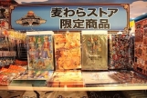 One Piece Mugiwara Store [23]