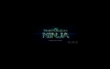 As Tartarugas Ninja (2014) - Wallpaper (Brasil)